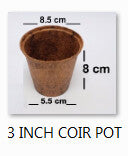 Round Coir Pot 3” Each Box of 1120