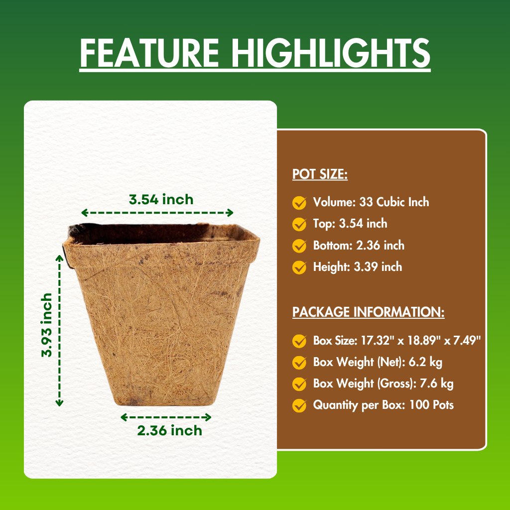 Square Coir Pot