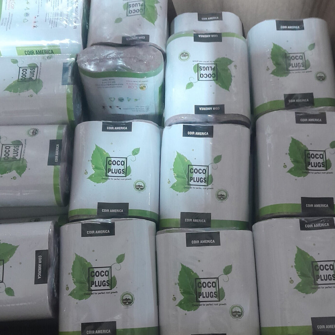 42mm Coco Plugs, 20pcs per roll, Box of 110 rolls (2200 pieces)