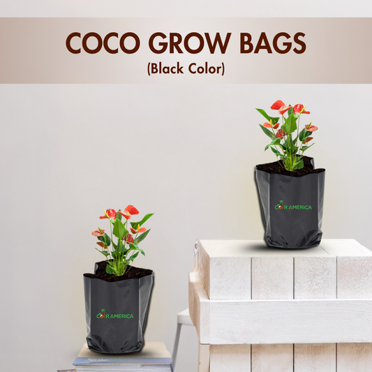 Coir Grow Bag | Eco-Friendly | Black