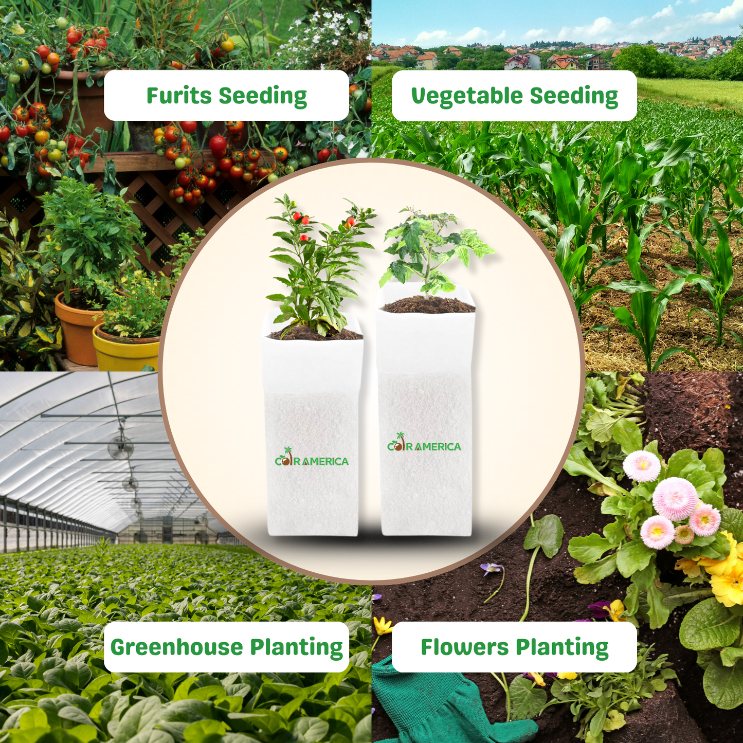 Coir Grow Bag | Eco-Friendly | White