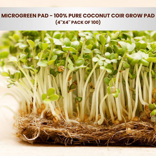 100% Pure Coconut Coir Fiber Grow Pad, 4''x4'' Pack of 100 - Microgreen Pad