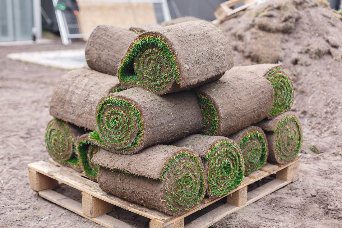 Stacked coir grow pads ready for sustainable farming and microgreen cultivation