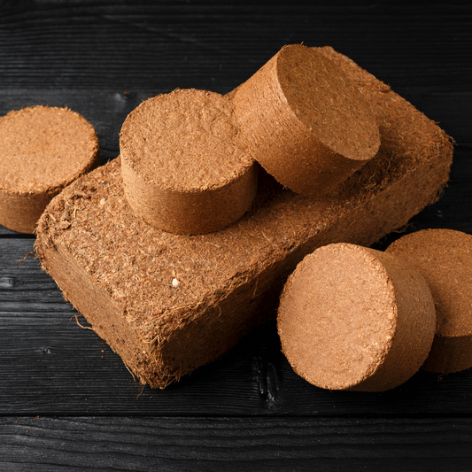 Compressed coir grow blocks on black background