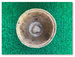 Round Coir Pot 3” Each Box of 1120