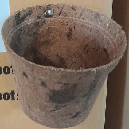 Pot - Round Coir Pot 1" "Top 3 cm and Tall 2 cm", Box of 2000 each