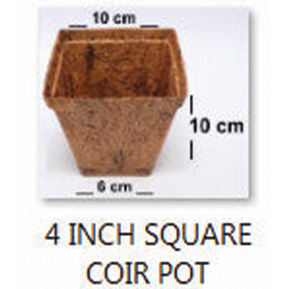 Pot - Square Coir Pot 4” Each Box of 750