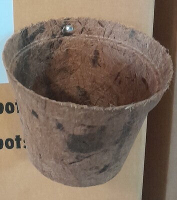 Pot - Round Coir Pot 2" Box of 1060 each (Pallet of 5300 pots)