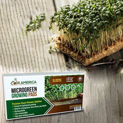 100% Pure Coconut Coir Fiber Grow Pad, 4''x4'' Pack of 150 - Microgree ...