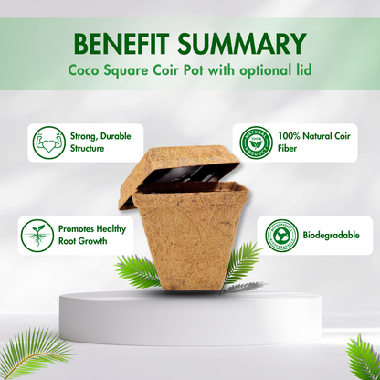 Square Coir Pot