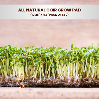 All Natural Coir Grow Pad 10.25" x 4.5" Pack of 650 - Microgreen Pads