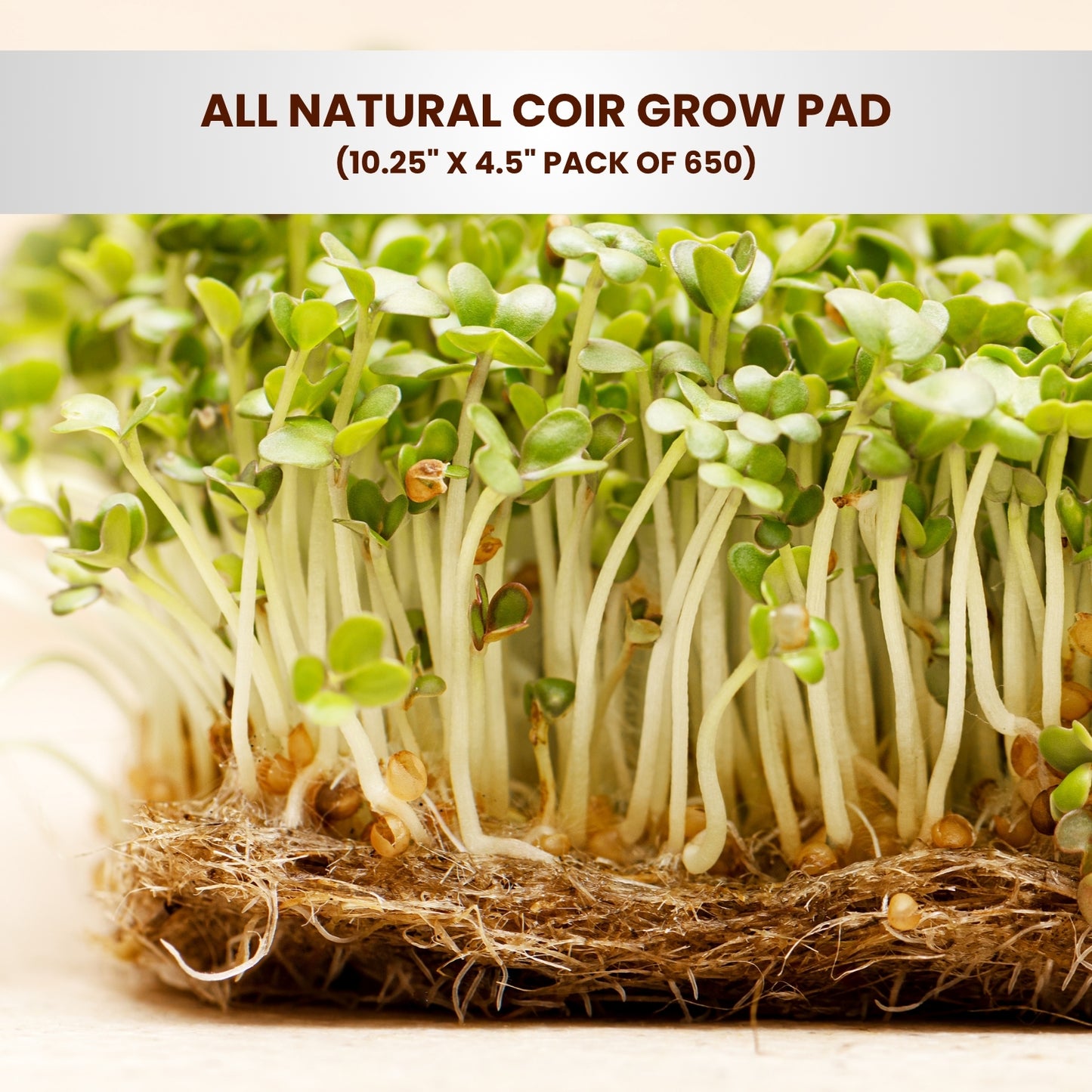 All Natural Coir Grow Pad 10.25" x 4.5" Pack of 650 - Microgreen Pads