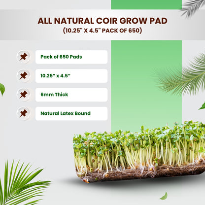 All Natural Coir Grow Pad 10.25" x 4.5" Pack of 650 - Microgreen Pads