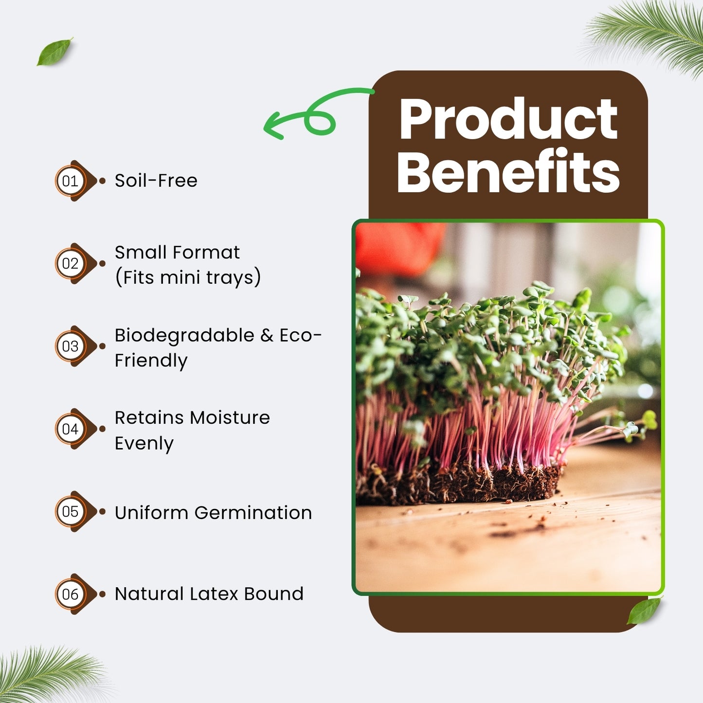 All Natural Coir Grow Pad 10.25" x 4.5" Pack of 650 - Microgreen Pads