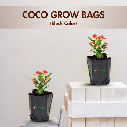 Coir Grow Bag | Eco-Friendly | Black