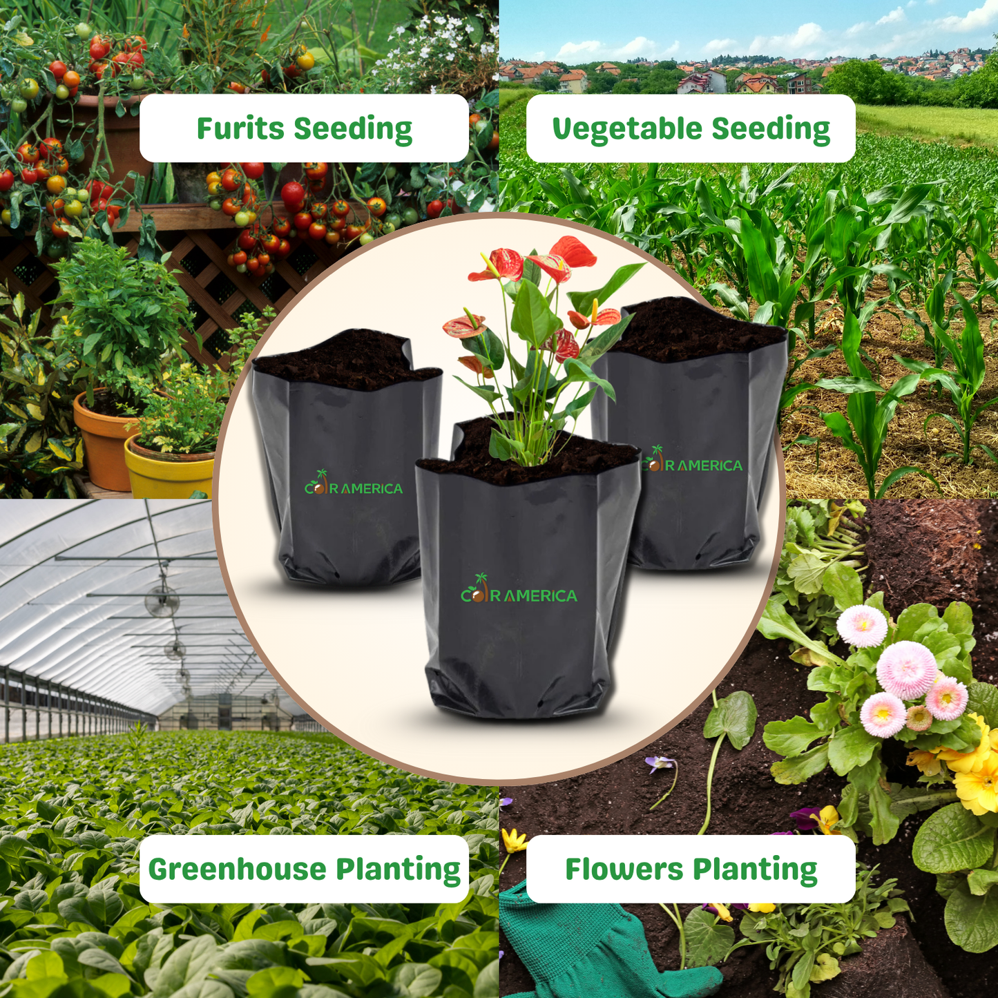 Coir Grow Bag | Eco-Friendly | Black