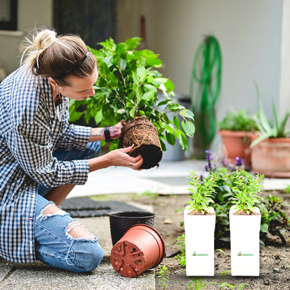 Coir Grow Bag | Eco-Friendly | White