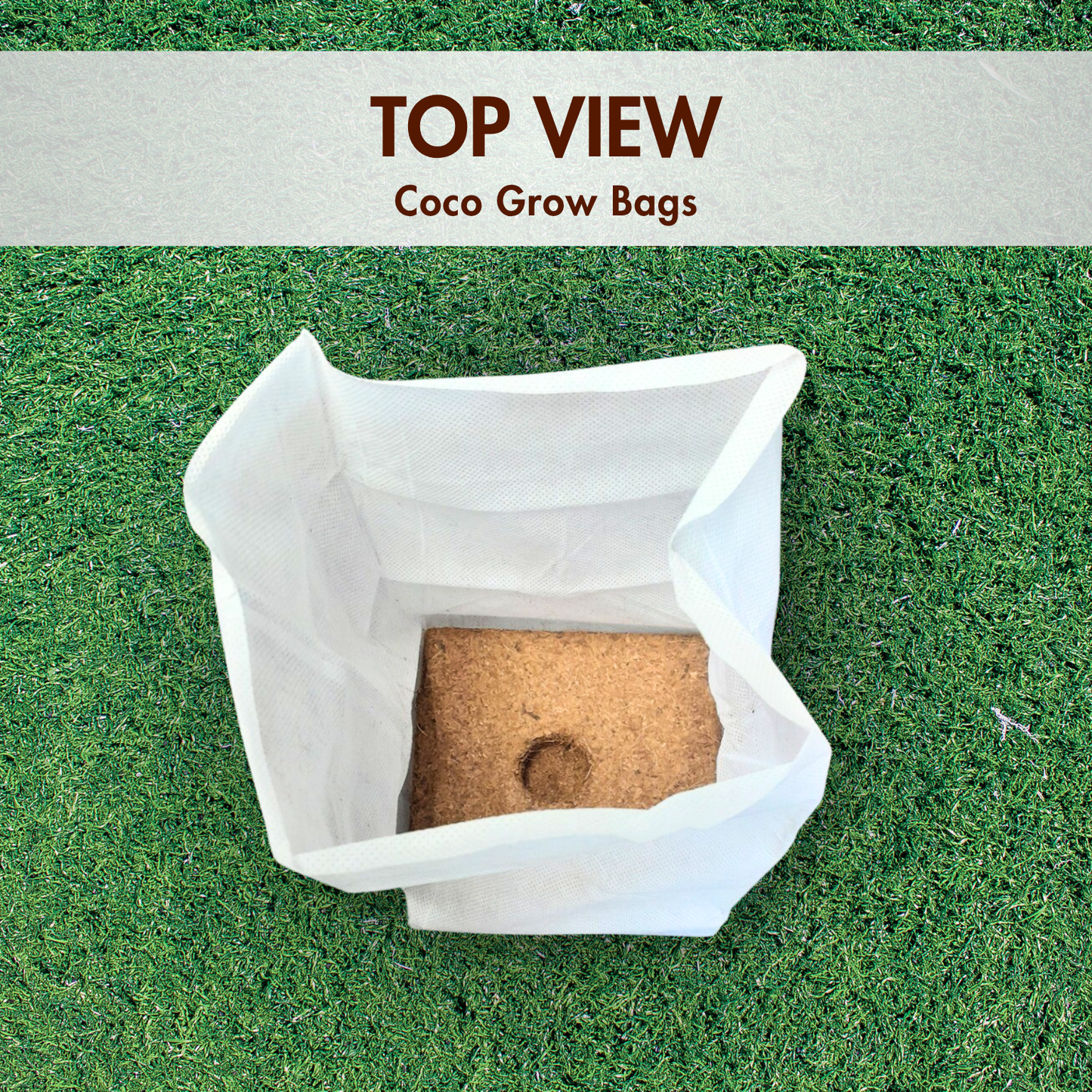 Coir Grow Bag | Eco-Friendly | White