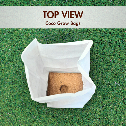 Coir Grow Bag | Eco-Friendly | White