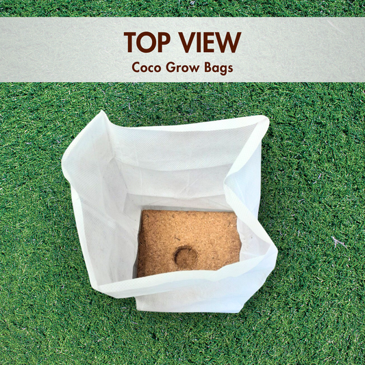 Coir Grow Bag | Eco-Friendly | White