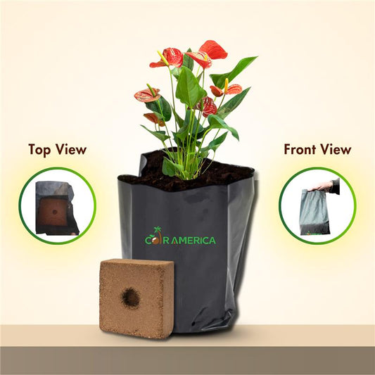 Coir Grow Bag | Eco-Friendly | Black