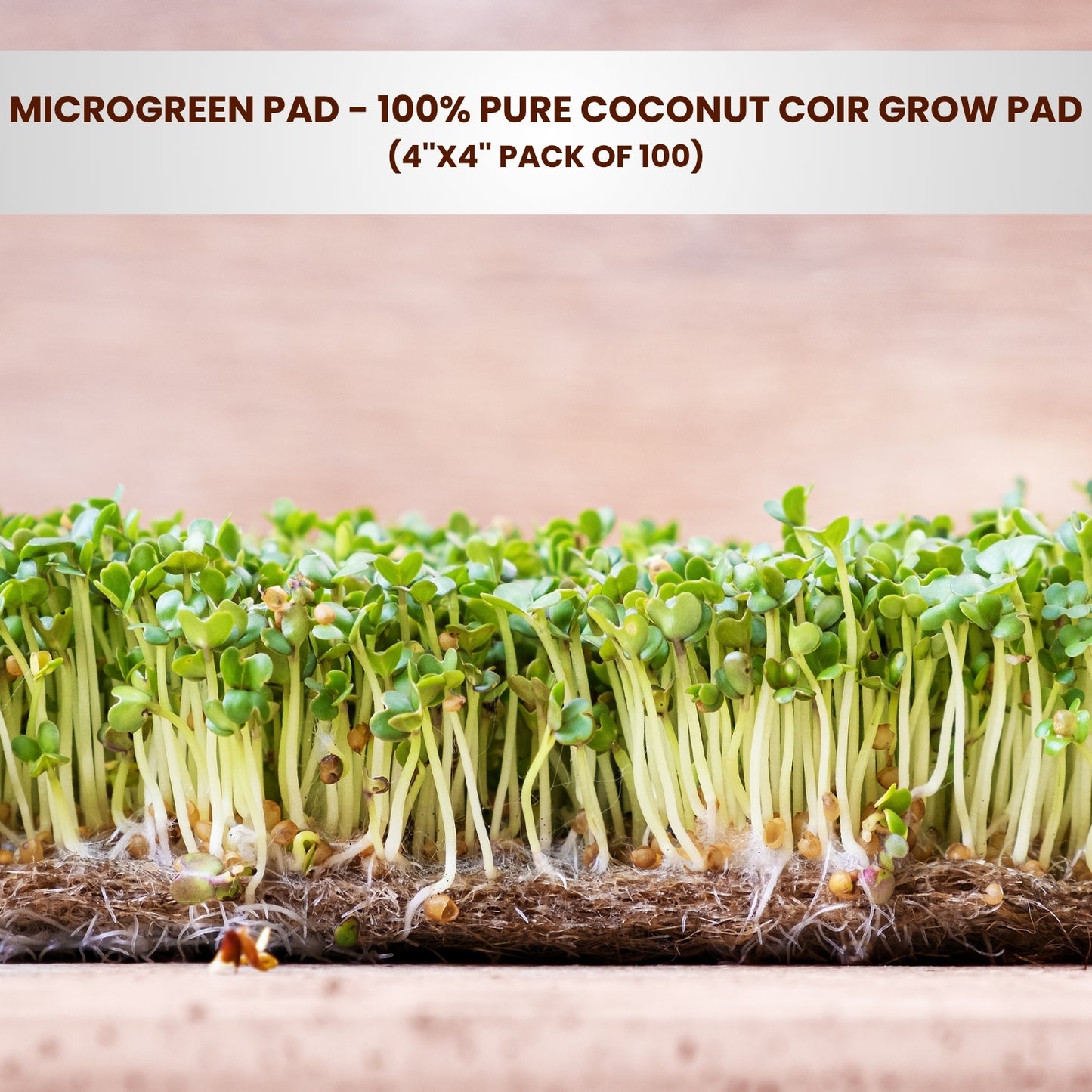 100% Pure Coconut Coir Fiber Grow Pad, 4''x4'' Pack of 100 - Microgreen Pad
