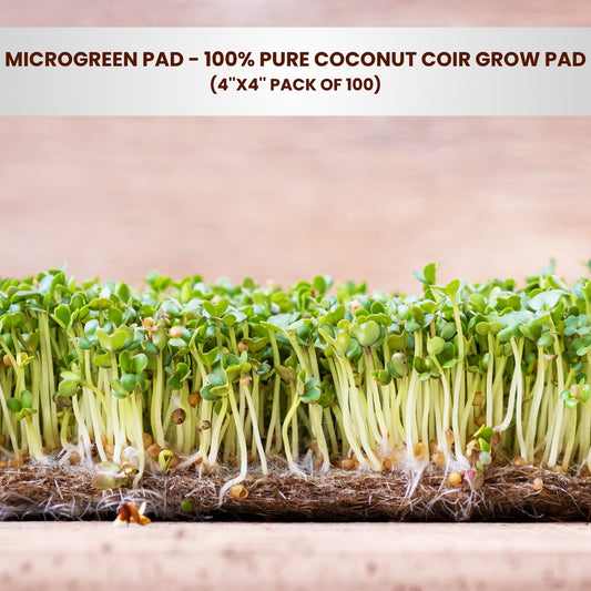 100% Pure Coconut Coir Fiber Grow Pad, 4''x4'' Pack of 100 - Microgreen Pad