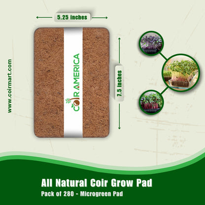 All Natural Coir Grow Pad 7.5''x5.25'', Pack of 280 - Microgreen Pad