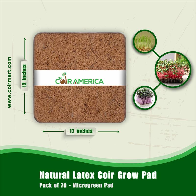 Natural Latex Coir Grow Pad 6mm Thickness Pad" 12"x12"  Pack of 70 - Microgreen Pad